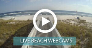 Perdido Key Live Beach Webcams
